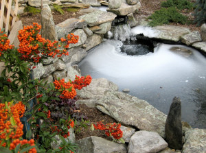 Garden Pond Water Features Redditch