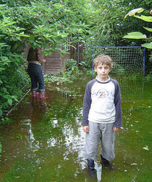flooded garden
