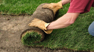 Laying Turf Worcestershire